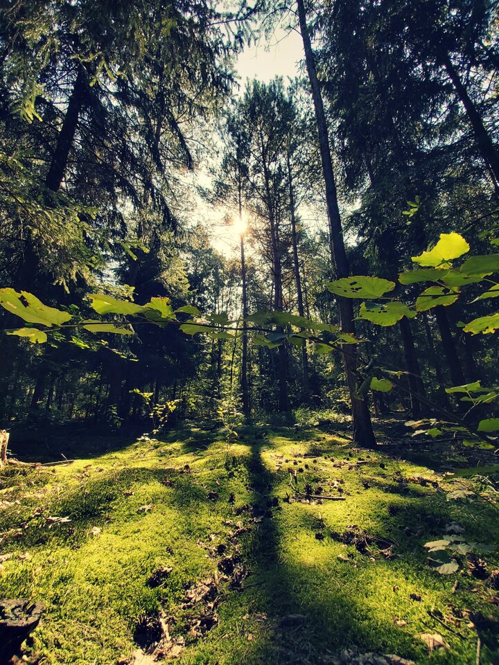 Przyroda... - para_kochankow