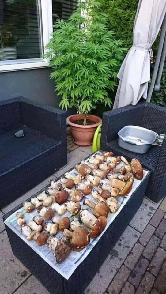 20200922_200556.jpg - Golabek1234