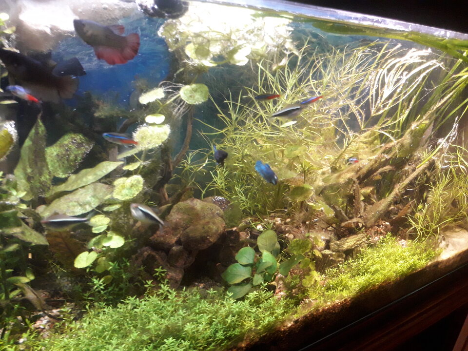 1600882254714766642249728778083.jpg - Marcominetka