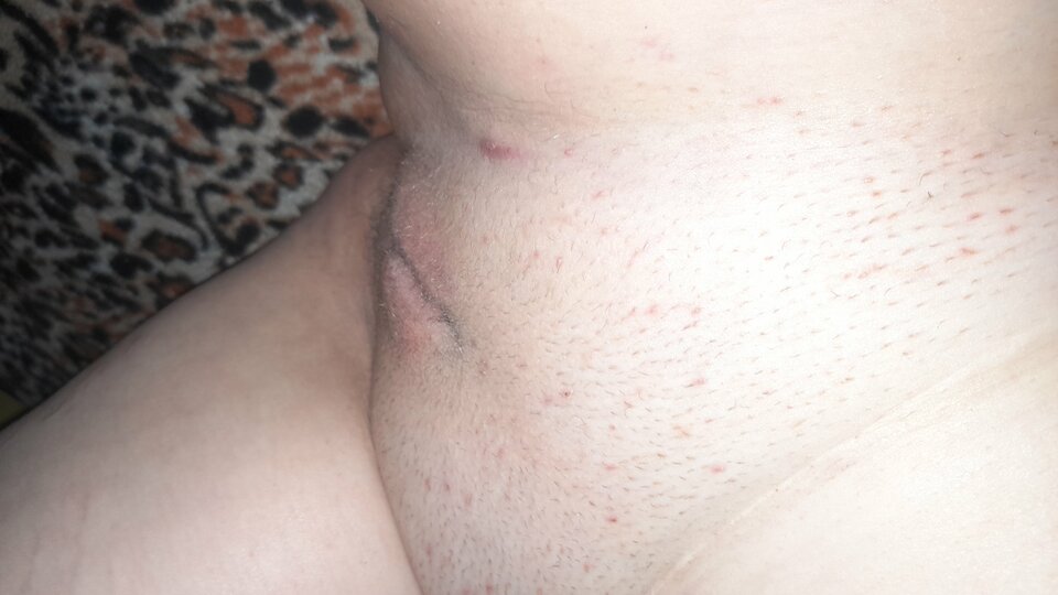 20200924_120525.jpg - Parkabraniewo19