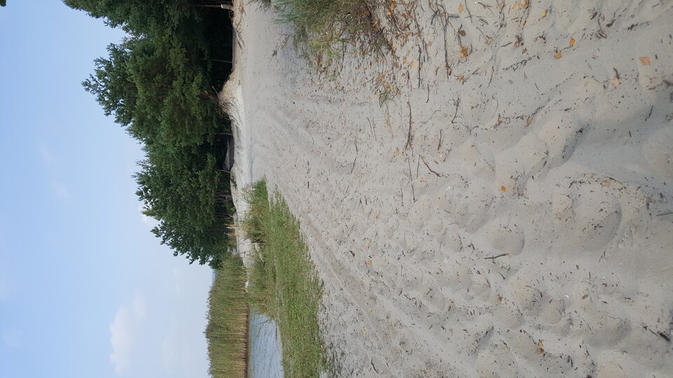 20200924_134412.jpg - art40k