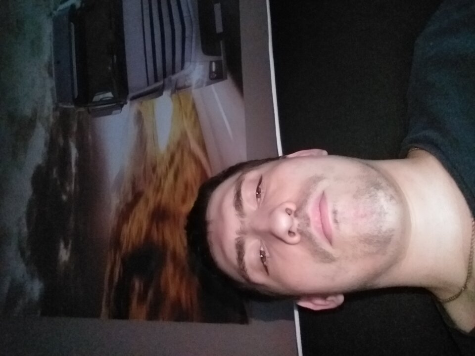 16009630578415627014085749637410.jpg - bartek1191