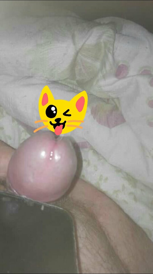 USER_SCOPED_TEMP_DATA_orca-image-2082047838.jpeg - essman