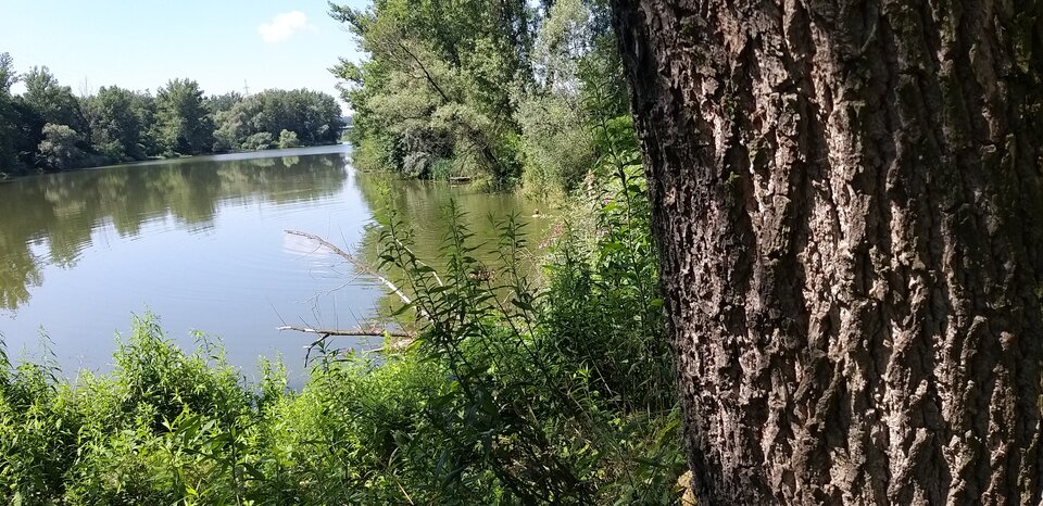 20200727_111216.jpg - Luz50