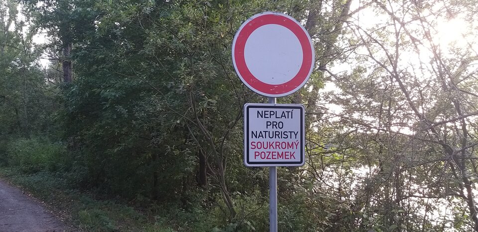 20190725_185120 (2).jpg - Luz50