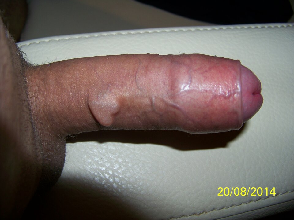 100_5169.JPG - leoon666