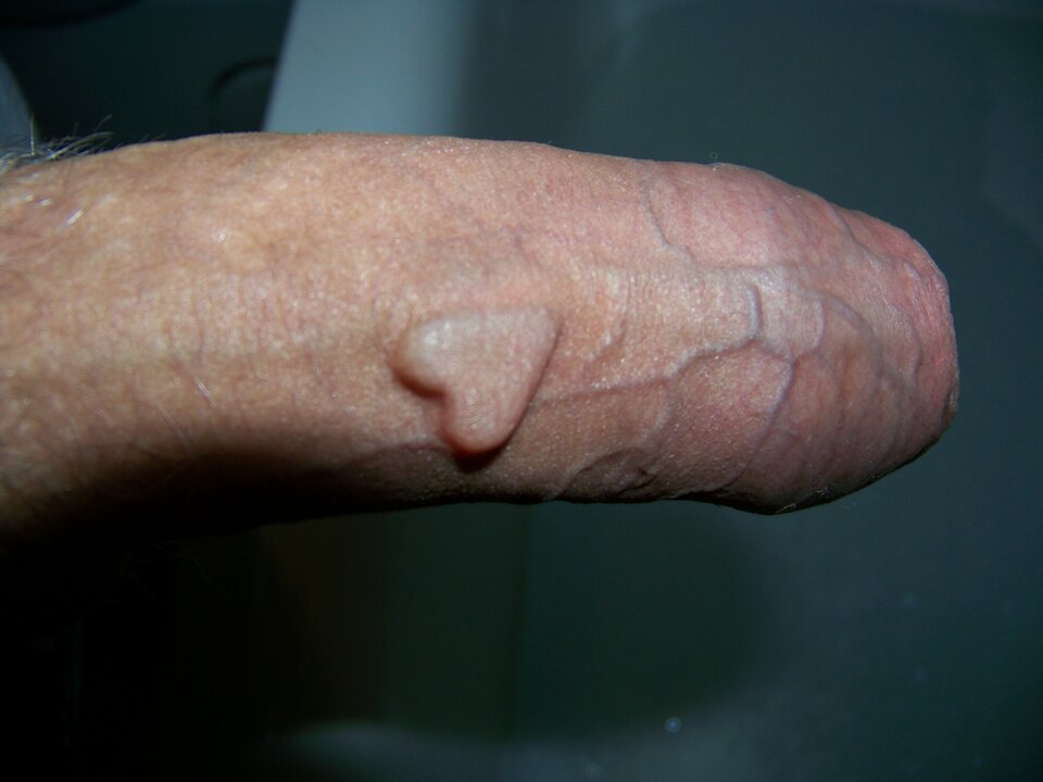 100_5760.JPG - leoon666