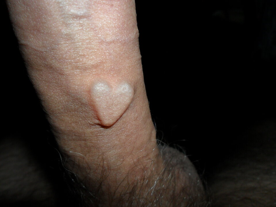 SAM_2238.JPG - leoon666