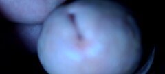 20200925_220716.jpg