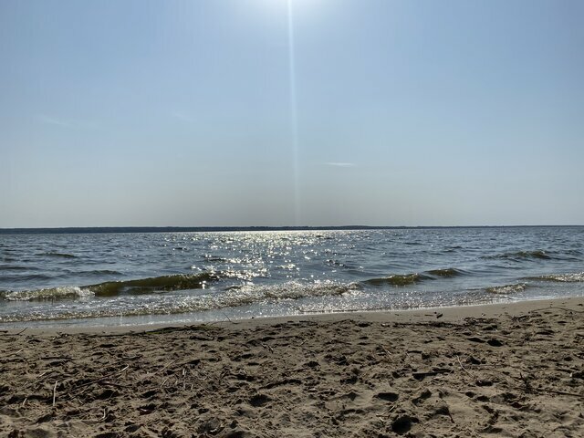 ac0b87dbade1caa531652c34fa08cb86.jpg - Mlody_R87