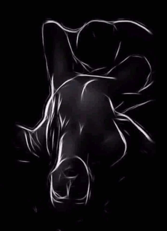 5FE5EA4D-F1DD-4CA5-A430-05E279B49867.jpeg - LFC22