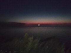 IMG_20200819_214550.jpg