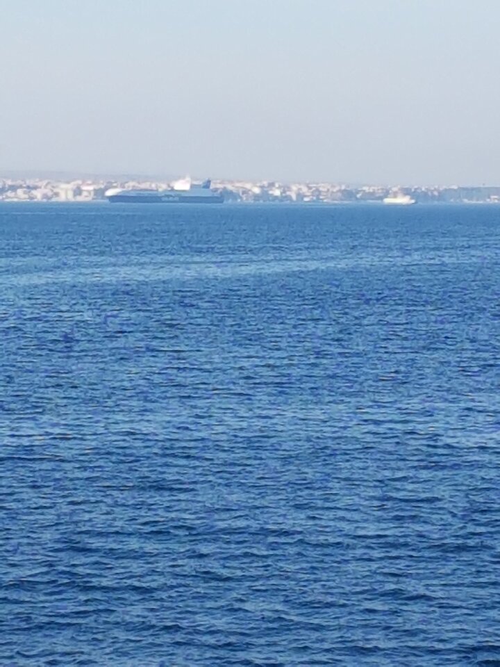 20171022_162749.jpg - RybkiPokaza