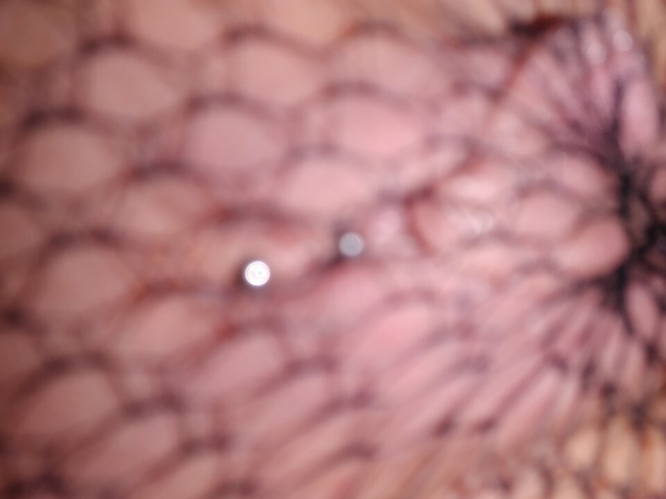 20200927_101251.jpg - Zboczuchy8477