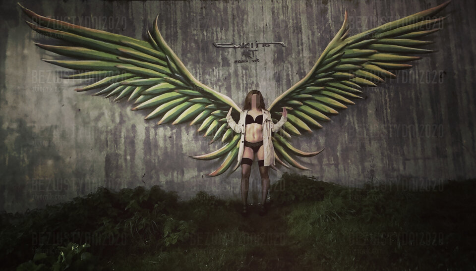 Skrzydla.jpg - Bezwstydni2020