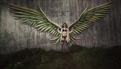 Skrzydla.jpg