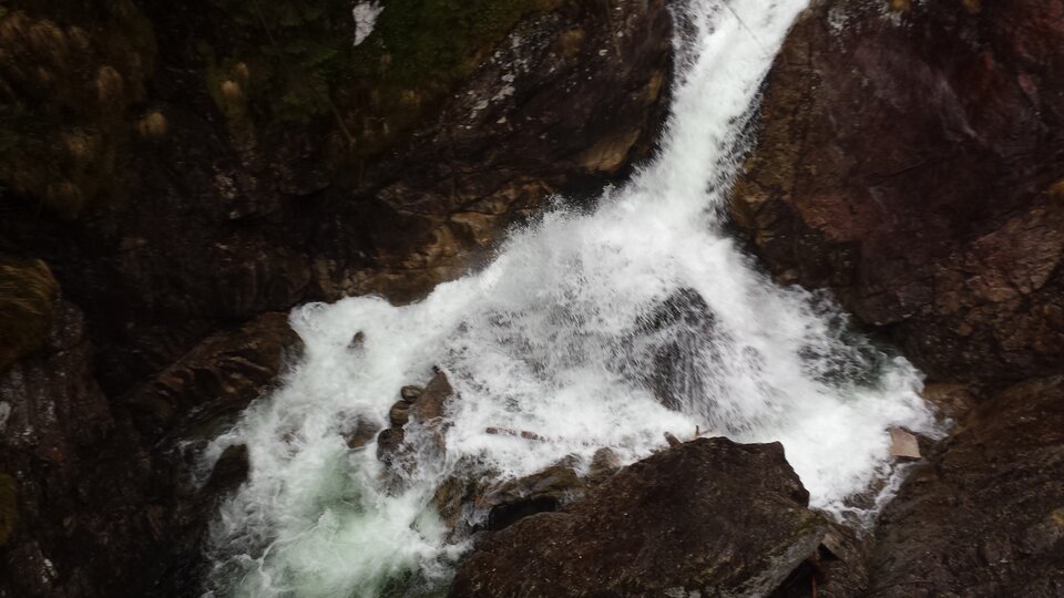 20150502_113221.jpg - pepe677