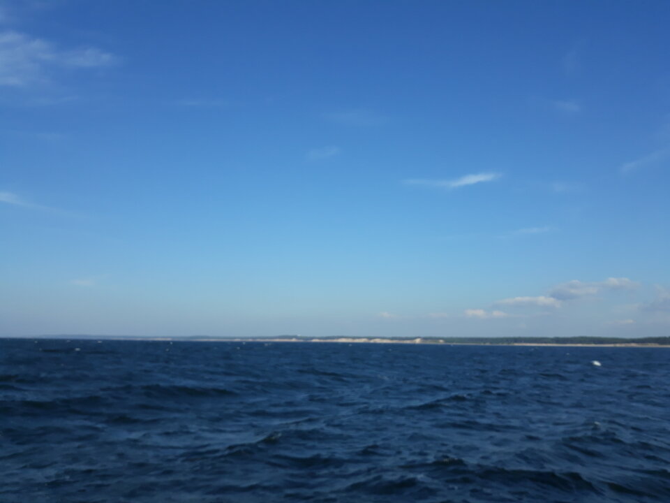 20180727_180803.jpg - pepe677