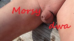 W słońcu, nad morzem.