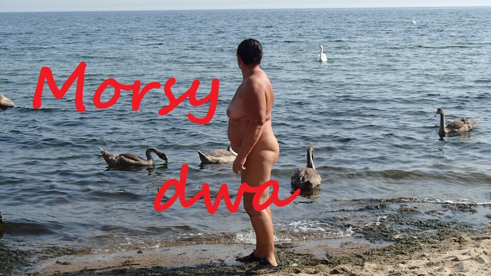 Babie Doły. - Morsy_dwa