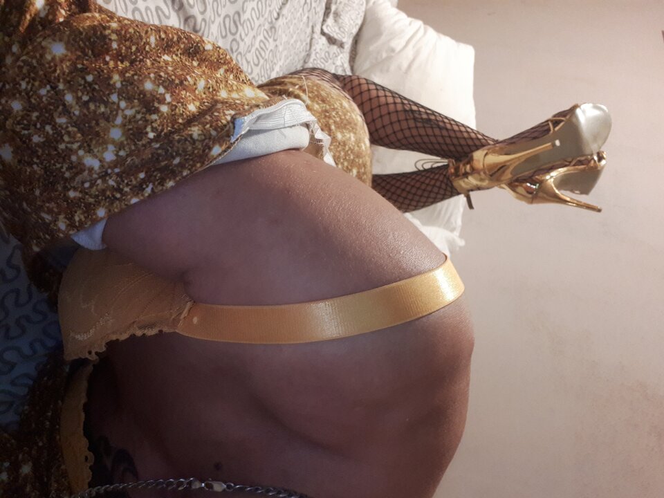 20200929_221120.jpg - Transpola