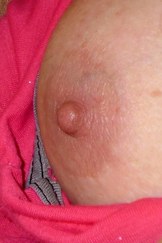 SAM_6933XX.jpg - anicom68