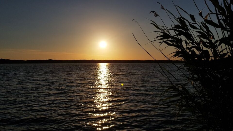 165540890a-01.jpeg - P_a_u_l