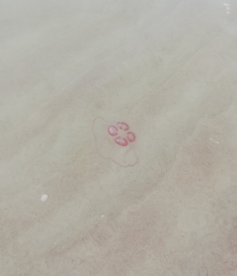 IMG_20201001_175922.jpg - Zapomnialam