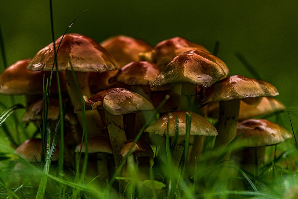 Jesiennie się porobiło... - mystic