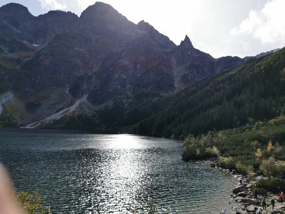 received_248734693234360.jpeg - naturyscixxl