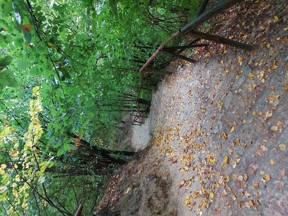 20201001_100034.jpg - Tajemnica0104