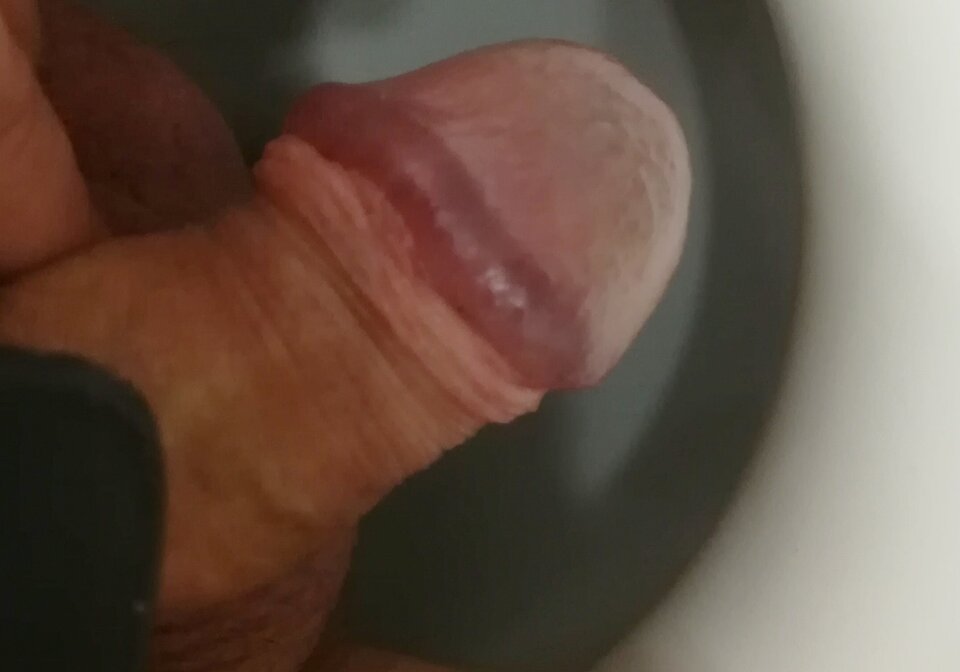 IMG_20201004_101051.jpg - endriu800