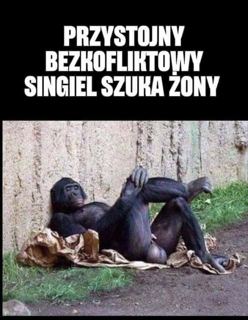 FB_IMG_1601804918040.jpg - mruczki2021