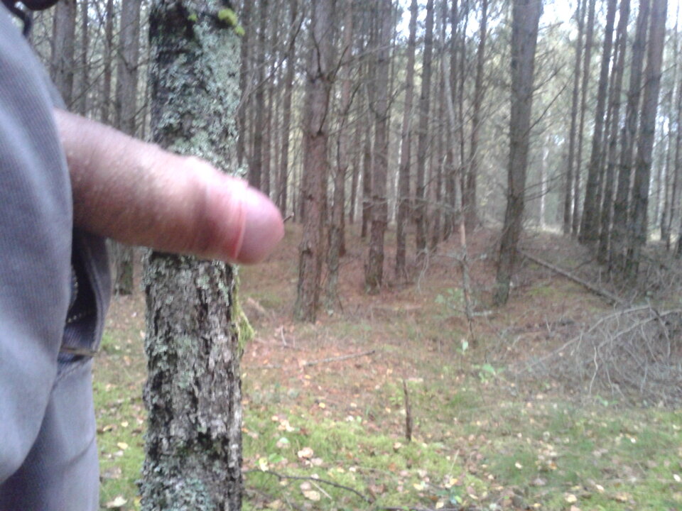 Zdjęcie0689.jpg - teelleesfor