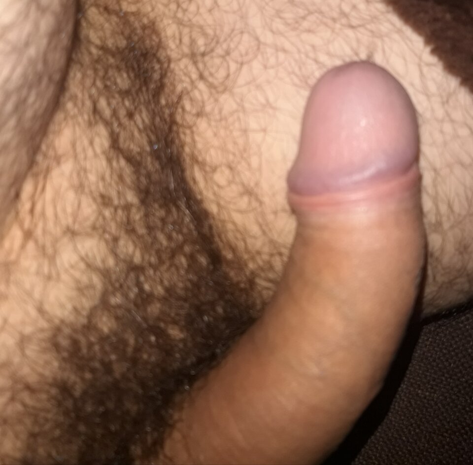 20201005_192932.jpg - DAJMIDU