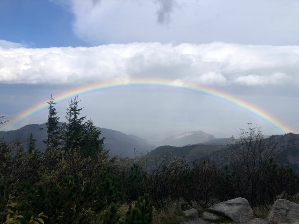 20201005_161117.jpg - GliwPara45