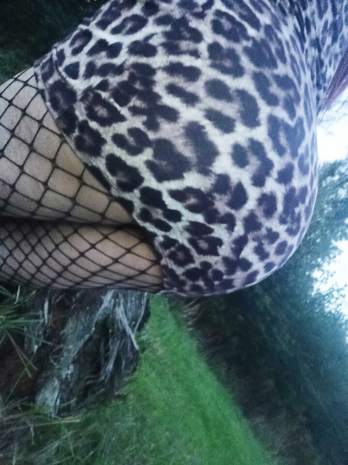 IMG_20201007_075138.jpg - KlaudiaTrans33