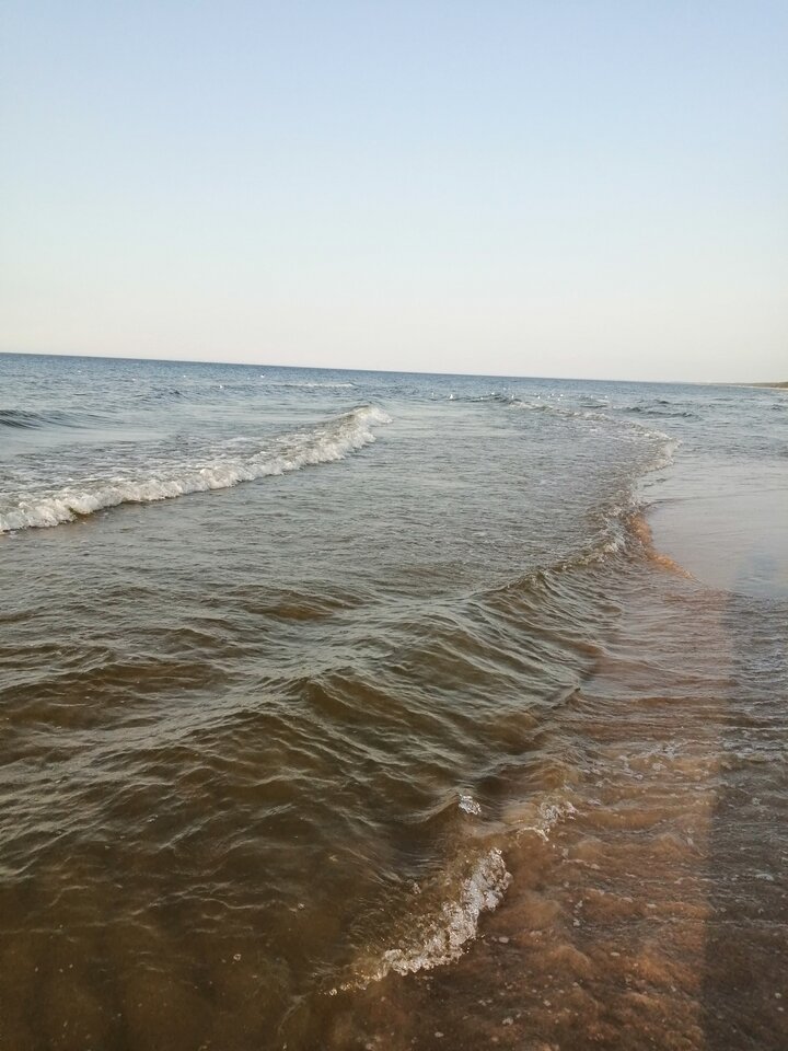 IMG_20200912_174345.jpg - Frelka_ze_wsi