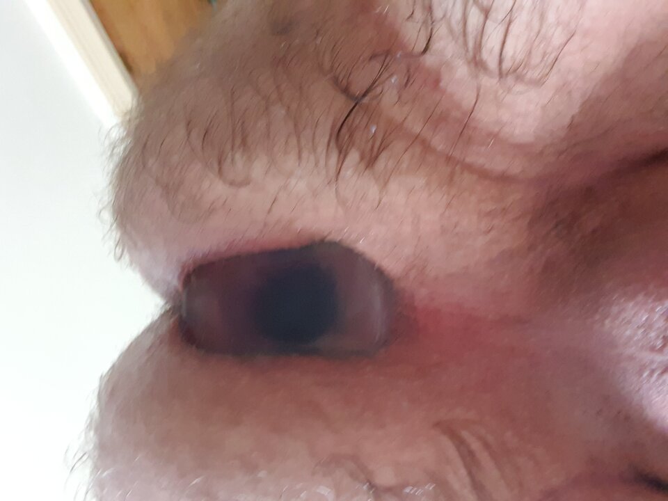 20201008_151028.jpg - DildoloverUk