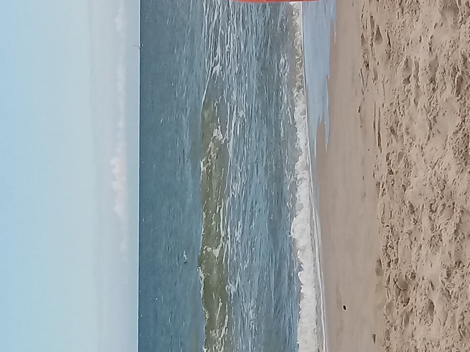 20200702_114411.jpg - Maly_ale_wariat35