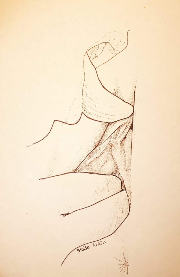 Art. No 48 - blaise8