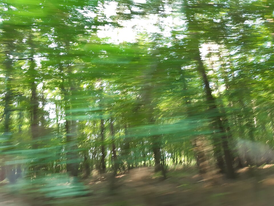 20200923_122054.jpg - torii99