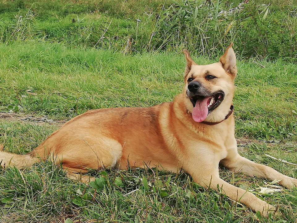 IMG_20200927_124454.jpg - bears64