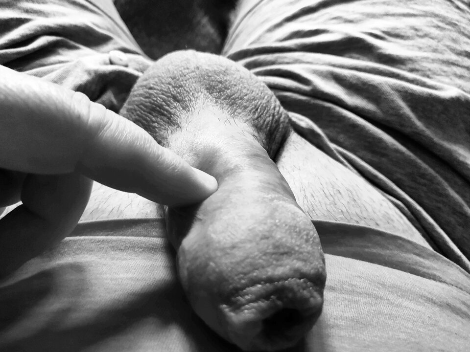 KUTASEK - fajnykutasek25