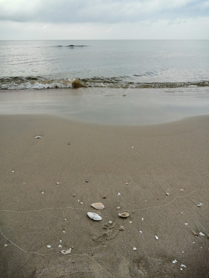 IMG_20201010_125715.jpg - Frelka_ze_wsi