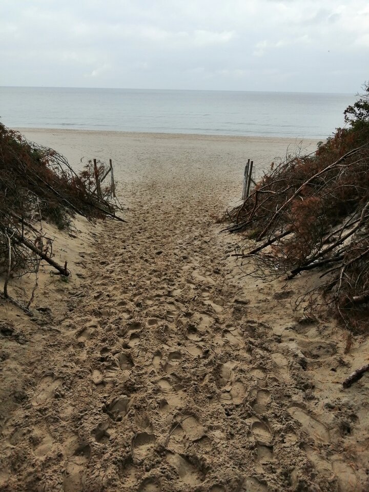 IMG_20201010_131210.jpg - Frelka_ze_wsi