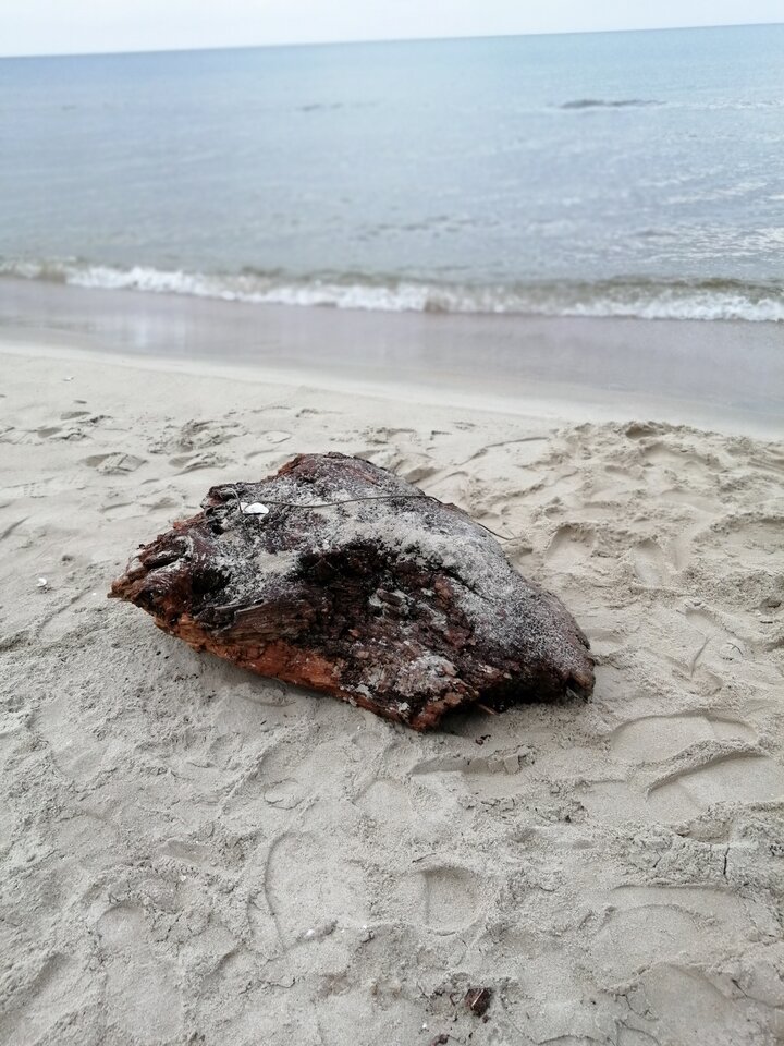 IMG_20201010_125207.jpg - Frelka_ze_wsi