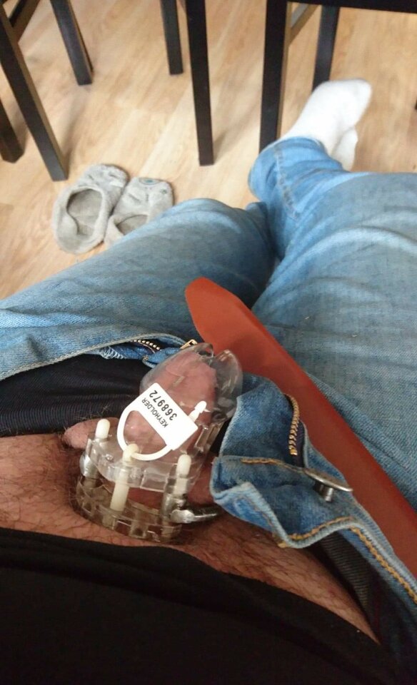 received_347720523312401.jpeg - PiesiSuka