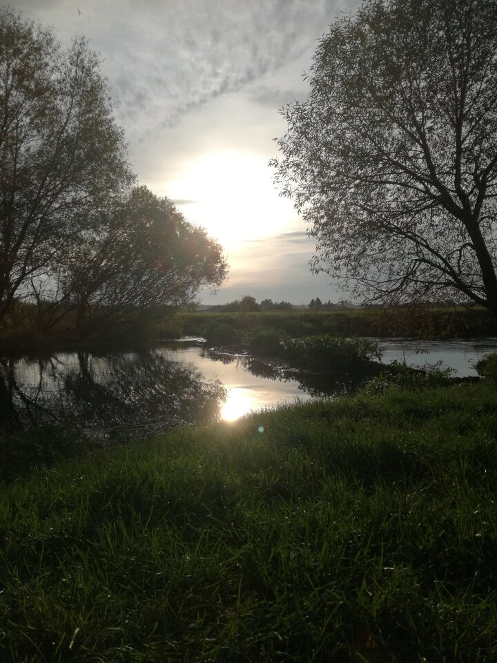 IMG_20201010_163301.jpg - piotrlub