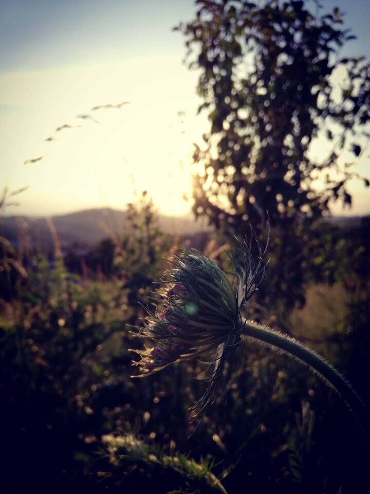 received_848886092147057.jpeg - Roderich30